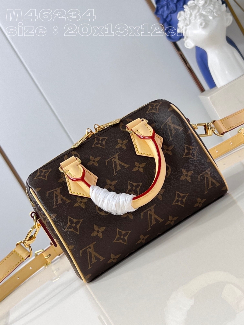 LV Speedy Bags